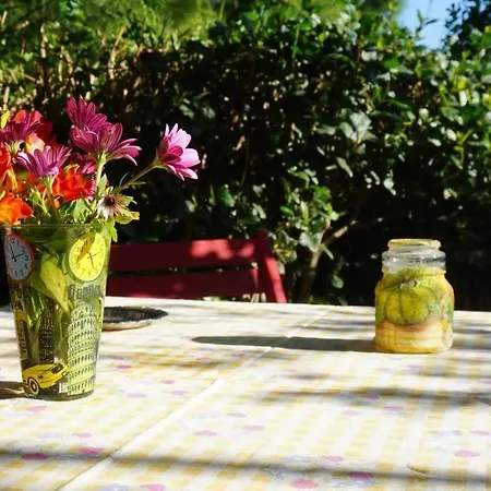 Cosy Guest House With Private Yard Saronida Buitenkant foto