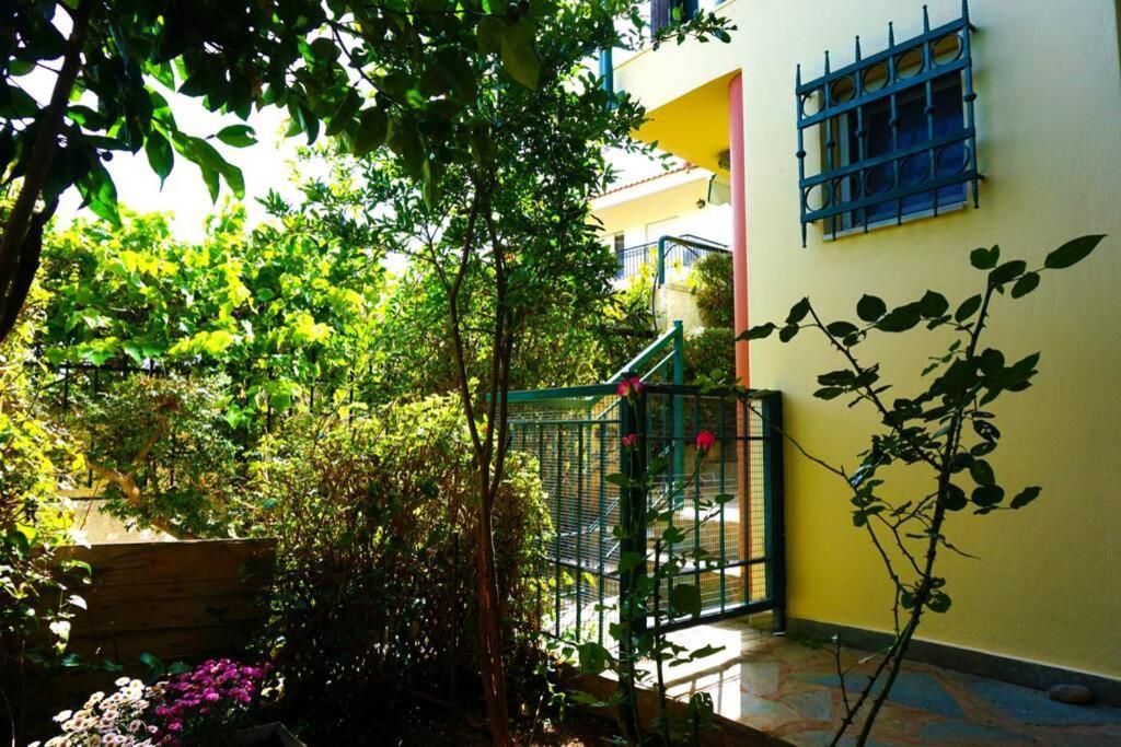 Cosy With Private Yard *