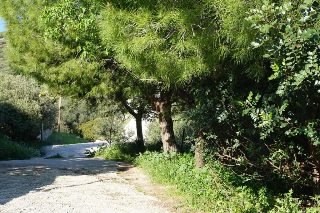 Cosy With Private Yard Holiday home *
