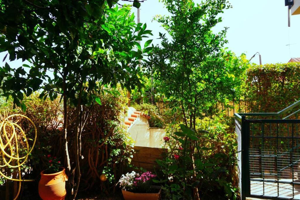 Cosy With Private Yard *